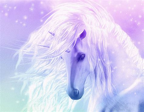 Beautiful Fantasy Unicorn Flowing Mane Pink Framed Canvas Art 20x16