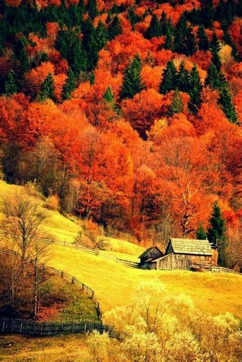 3breathtaking Autumn Scenery Autumn Landscape Landscape