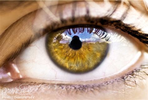 Wallpaper Iris Macro Reflection Eye Primavera Closeup Canon