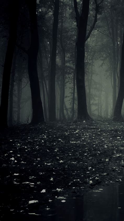 Dark Forest Hd Android Wallpaper
