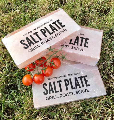 Pink Salt Blocks And Salt Plates And How To Use Them Saltsup Blog