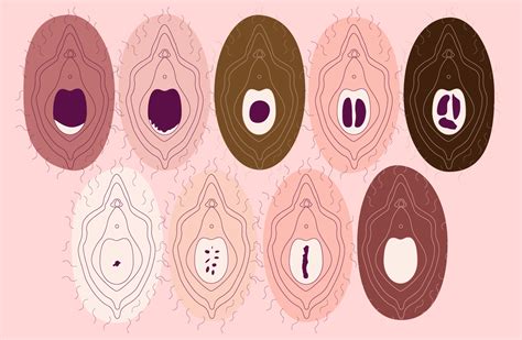 Five Types Of Vagina
