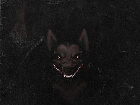 Smile Dog Creepypasta Dog Scary Hd Wallpaper Pxfuel