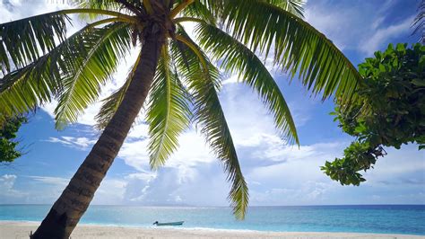 The Perfect 4k Beach Scene Fiji 1 Hour Glistening Island