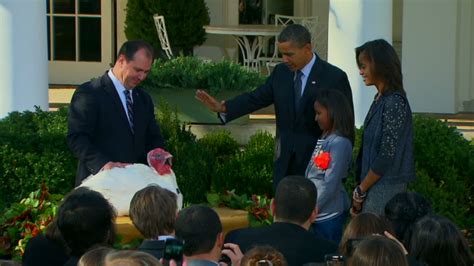 obama pardons two turkeys at white house ceremony