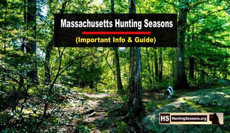 Massachusetts Hunting Seasons 2023 2024 Ultimate Guide