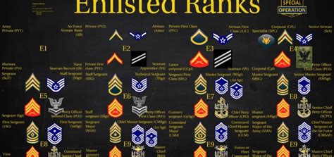Us Military All Branches Enlisted Ranks Explained What Is A Chief Vrogue