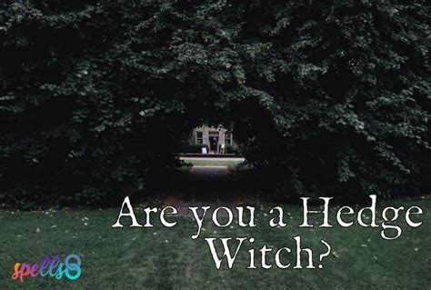 Hedge Witchcraft What Is A Hedge Witch Spells8