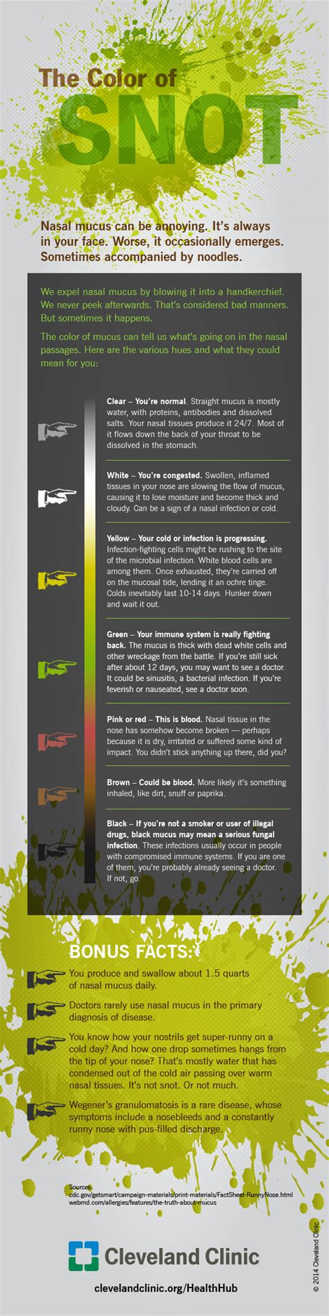Namun apa boleh buat kita ulas saja kata kunci kali ini. What the Color of Your Snot Really Means (Infographic ...