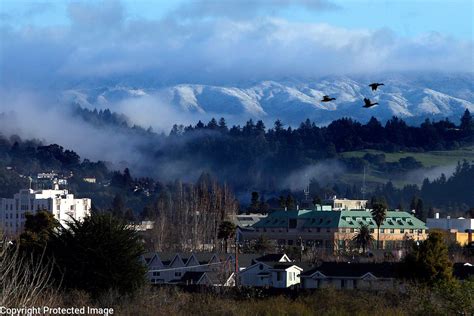 Snow In Santa Cruz California Shmuel Thaler Photographer