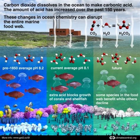 Ocean Acidification 101 Reefci
