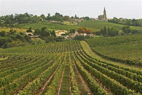 Six Routes Des Vins Pour Découvrir Le Vignoble Bordelais