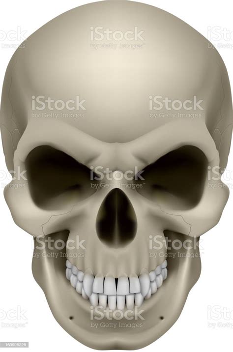 Skull Emotion Of Anger Stock Illustration Download Image Now