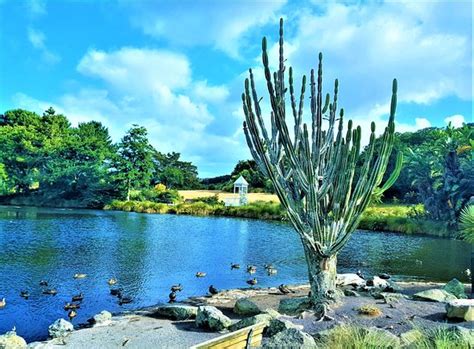 Auckland Botanic Gardens 2020 Ce Quil Faut Savoir Pour Votre Visite