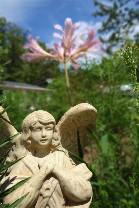Angel In My Garden Garden Whimsy Angel Angels Among Us