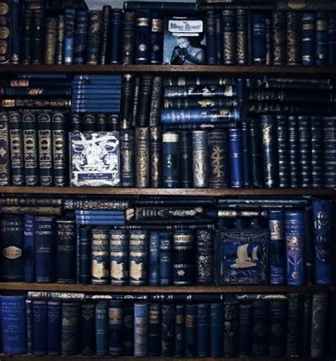 ravenclaw pride ravenclaw aesthetic library aesthetic harry potter aesthetic character