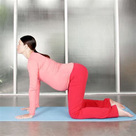 Try out these poses for a relaxing routine pregnancy stretches for sciatica and back pain. Cat Cow - the Yoga Emergency Rescue Remedy for Pregnancy ...
