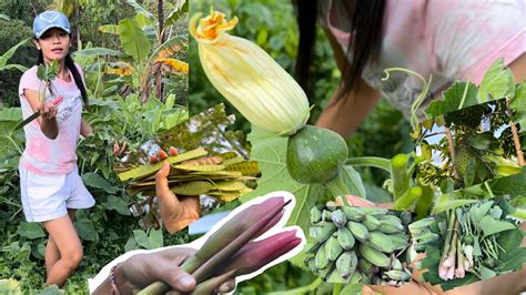 Panen Kecombrang Daun Pucuk Labu Petai Cina Pisang Dll Di Kebun