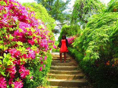 Korea Sidewalk Korea Stairs Calm Morning Adventure Garden Decor