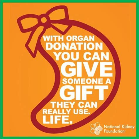 Pin By Bethany Goralski On You Have The Power To Donate Life Kidney