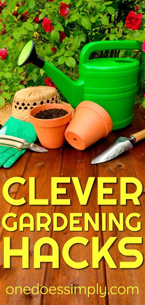 10 brilliant gardening hacks you should try one does simply gardening tips easy garden