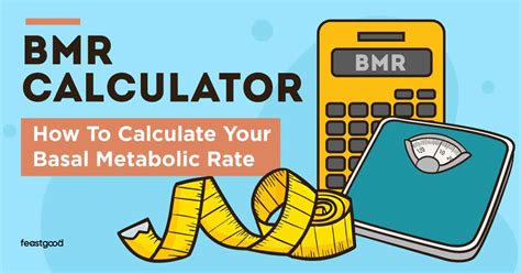 bmr calculator how to calculate your basal metabolic rate