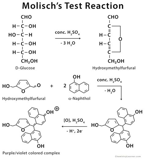 Qualitative Tests For Carbohydrates Sciencevivid