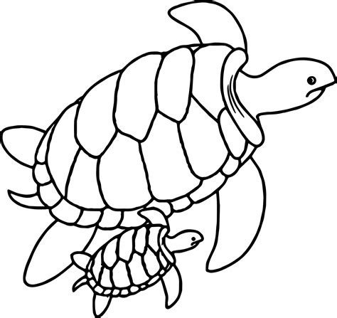 Printable Sea Turtle Coloring Page