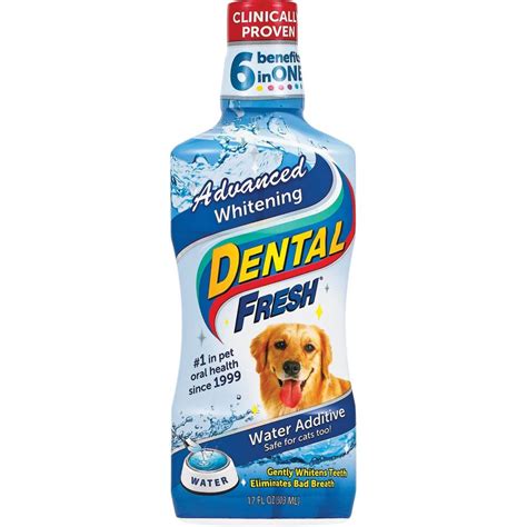 10 Best Dog Dental Water Additives In 2023 Reviews And Top Picks Pet Keen