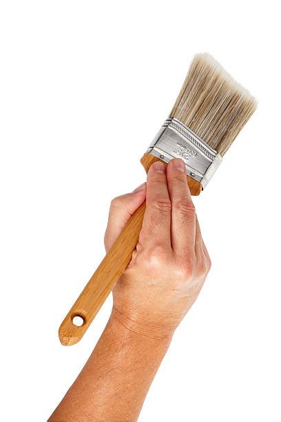 Hand Holding Paint Brush Stock Photos Pictures And Royalty Free Images