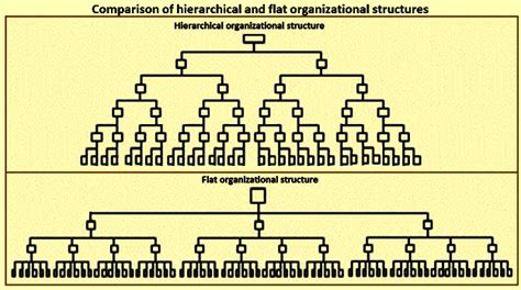 Comparison Between Hierarchical And Flat Organization Structures IspatGuru