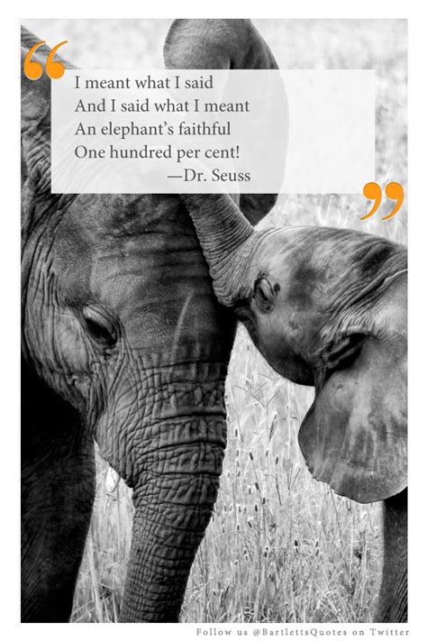 Elephant quotes have specific dimensions with respect to words used to design them. "I meant what I said and I said what I meant. An elephant's faithful one hundred percent." -Dr ...