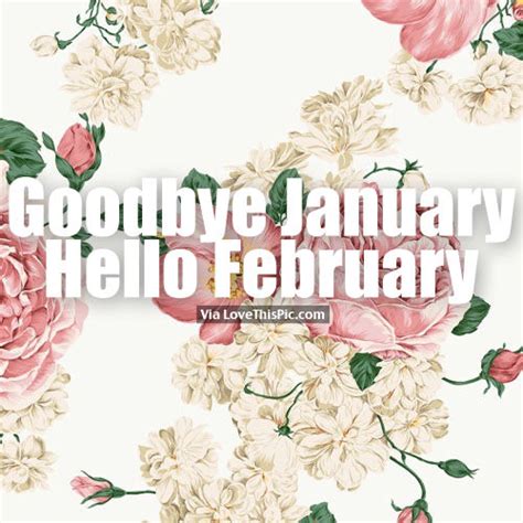 Goodbye January Hello February Flower Background Quote Pictures