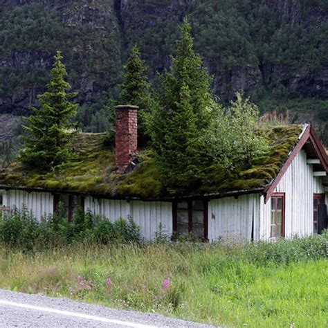 The Grass Roofs Of Norway Amusing Planet Grass Roof Green Roof Roof