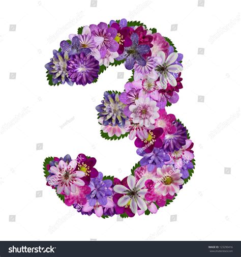 Alphabet Made Of Flower Number 3 Stock Photo 123290416 Shutterstock
