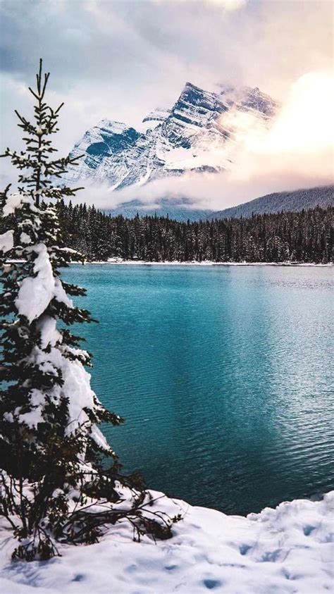 Winter wallpaper iphone 6 plus. Blue Lake Winter Mountains Pine Trees iPhone Wallpaper ...