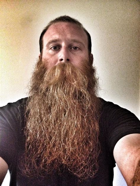 Epic Level Red Beard Enormous Huge Mustache Long Thick Natural Length Ginger Redhead Mustaches