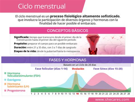 Ciclo Menstrual Shecares