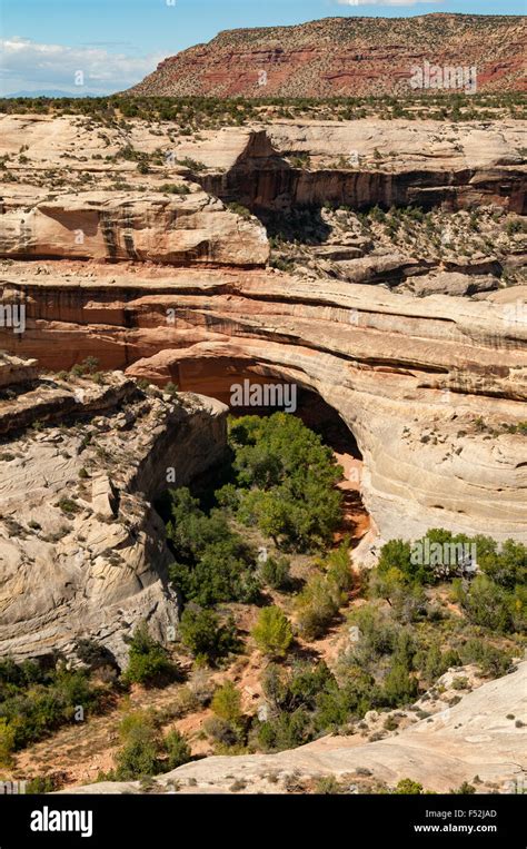 Kachina Bridge Natural Bridges National Monument Utah Usa Stock