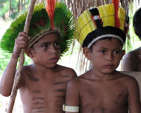 The Culture Of The Uncontacted Tribes Of Brazil THE UNCONTACTED INDIANS OF BRAZIL