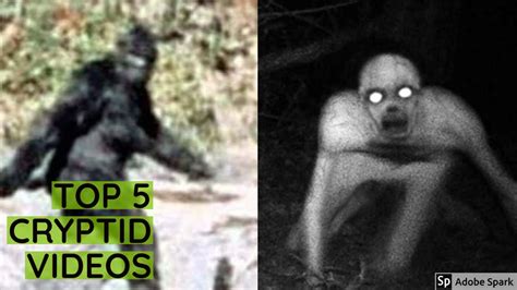 Top 5 Cryptid Videos Episode 1 Youtube