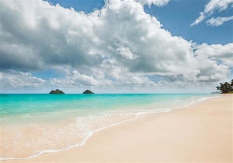 Best Beaches In Oahu Stay Close Travel Far