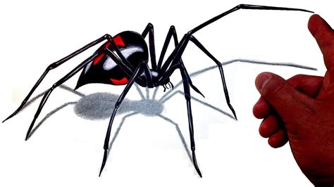 How To Draw A Realistic 3d Giant Black Widow Spider Youtube