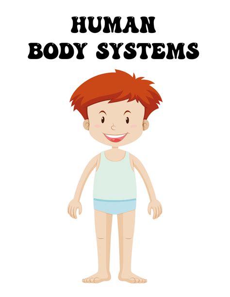 Discover The Human Body Like Never Before With Our Anatomy Coloring And