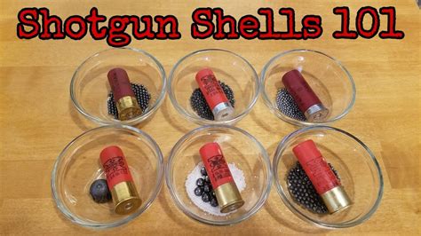 How Many Shotgun Shells In A Case New Update Mytholi Com