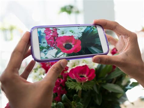 Find latest and old versions. This Flower Identification App Is a Gardener's Best Friend