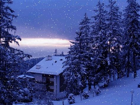 Download Most Beautiful Real Snowfall In Winters Hd Wallpapers