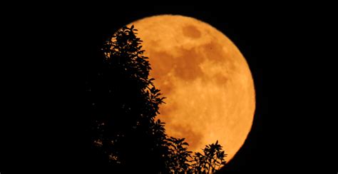 A Gorgeous And Massive Hunters Moon Will Light Up The Skies Of
