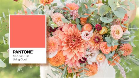 Maybe you would like to learn more about one of these? "Living Coral" Floral Inspiration for Pantone's Color of ...