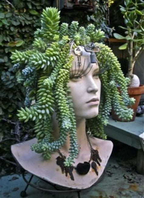 Creative Indoor And Outdoor Succulent Garden Ideas 2017 Succulents Garden Diy Garden Projects